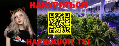 spice Гудермес
