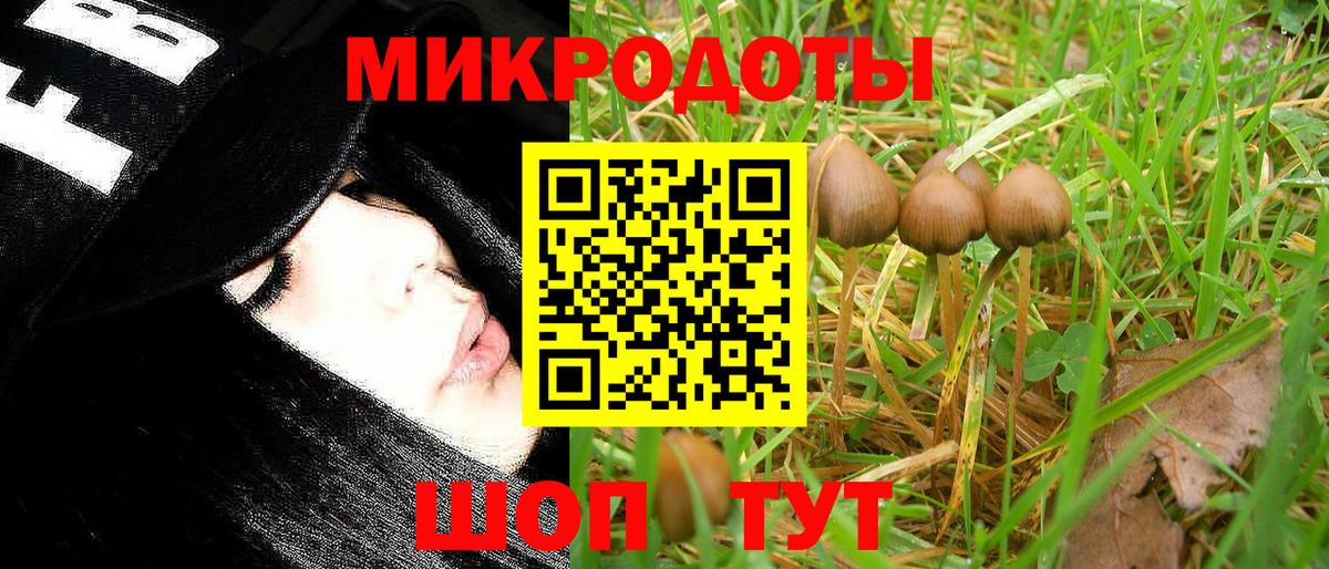 Галлюциногенные грибы GOLDEN TEACHER Ревда