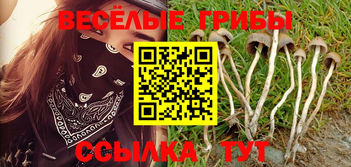 Ревда  Галлюциногенные грибы Psilocybe  Вход с VPN 